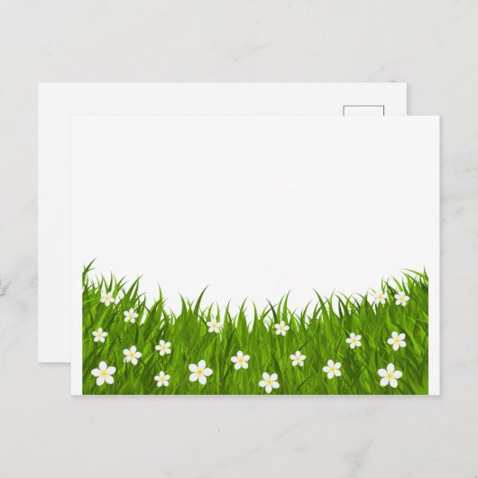 Briefkaart mais en gras (Voorkant / Achterkant)