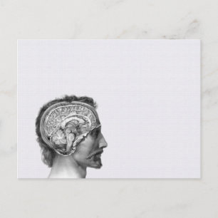 Briefkaart medische illustratie