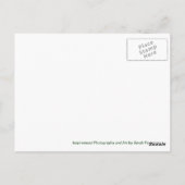 Briefkaart meer Owyhee (Achterkant)