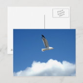 Briefkaart met alleen vliegen (Voorkant / Achterkant)