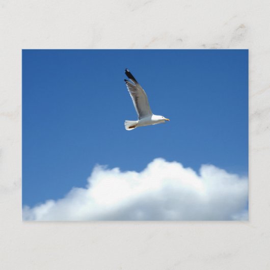 Briefkaart met alleen vliegen (Voorkant)