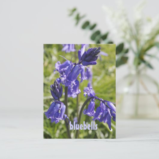 Briefkaart met blauwe klokbloemen (Staand voorkant)