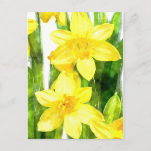 Briefkaart met Daffodils in waterverf