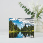 Briefkaart met de boomstructuur Evergreen (Staand voorkant)