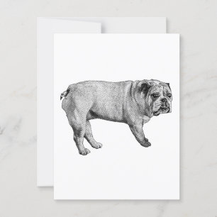Briefkaart met dennenranden