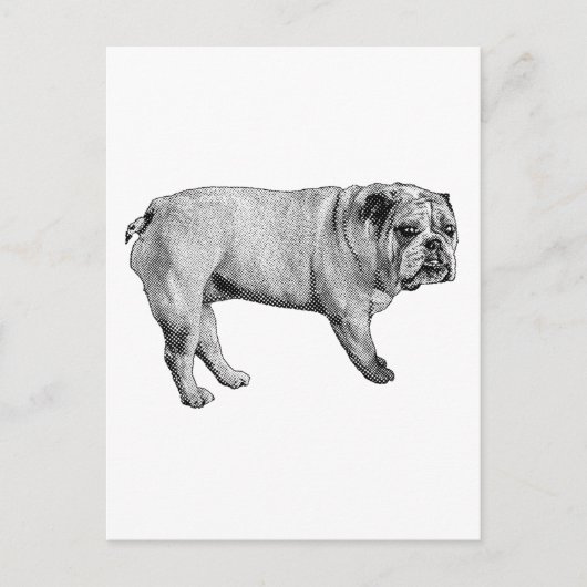 Briefkaart met dennenranden (Voorkant)