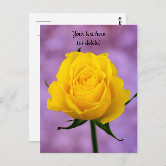 Briefkaart met één gele rozenrog (Voorkant / Achterkant)