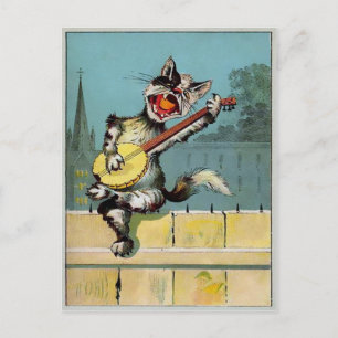 Briefkaart met één kat
