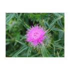 Briefkaart met een levendige dichting.