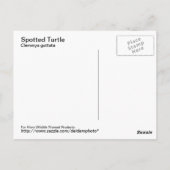 Briefkaart met gebotteld schildpad (Achterkant)