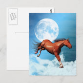 Briefkaart met gedistilleerd paard (Voorkant / Achterkant)