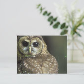 Briefkaart met gepotte kieuwen (Staand voorkant)