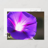 Briefkaart met gloeiend hart (Voorkant / Achterkant)