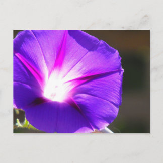 Briefkaart met gloeiend hart