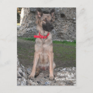 Briefkaart met het Duitse kasteel Shepherd Ruin be