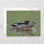 Briefkaart met houtsnipper (Voorkant / Achterkant)