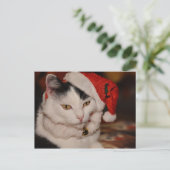 Briefkaart met kerstkatten (Staand voorkant)