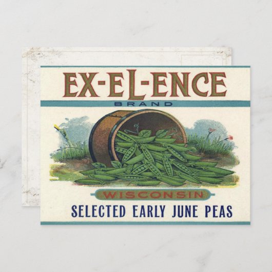 Briefkaart met kratelafdruk met erwten (Voorkant / Achterkant)