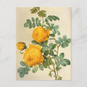 Briefkaart met kunstgele rozengeel