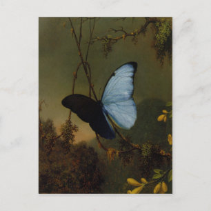 Briefkaart met Martin Johnson Heade Painting