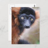 Briefkaart met rode rode rommel (Voorkant / Achterkant)