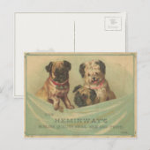  Briefkaart met Schattigee schroot boek honden (Voorkant / Achterkant)