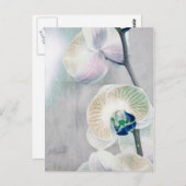 Briefkaart met schilfers (Voorkant / Achterkant)