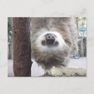 Briefkaart met sleuf