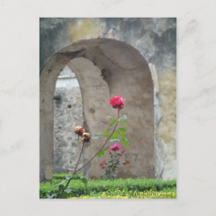 Briefkaart met standaard-hoge standaard