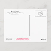 Briefkaart met tabletomhulling (Achterkant)