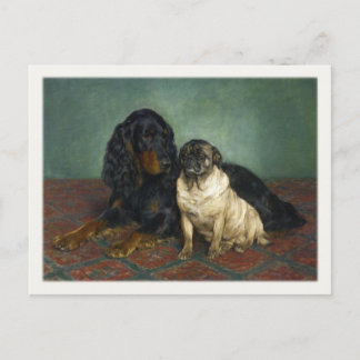 Briefkaart met verdoven honden