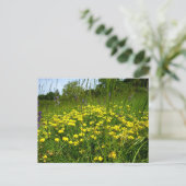 Briefkaart met vogelvoet Trefoil (Staand voorkant)