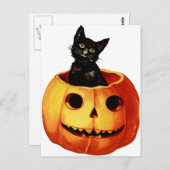 Briefkaart met zwarte kat en pompoen (Voorkant / Achterkant)