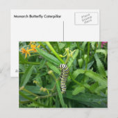 Briefkaart met zwarte vlinderstaart (Voorkant / Achterkant)