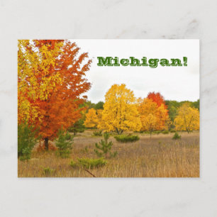 briefkaart"MICHIGAN KOMT MET VIBRANT KLEUR IN LEVE Briefkaart