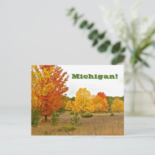 briefkaart "MICHIGAN KOMT TOT LEVEN MET LEVENDIGE (Staand voorkant)