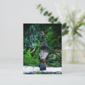 Briefkaart Moeder-Turkije (Staand voorkant)