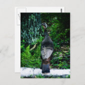 Briefkaart Moeder-Turkije (Voorkant / Achterkant)