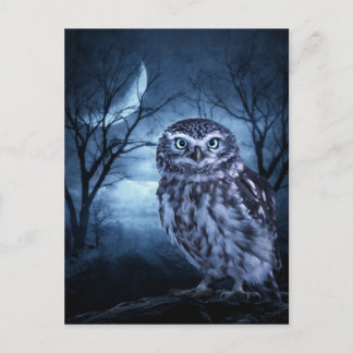 briefkaart "Moon Owl"