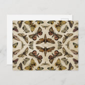 Briefkaart Moths (Voorkant / Achterkant)