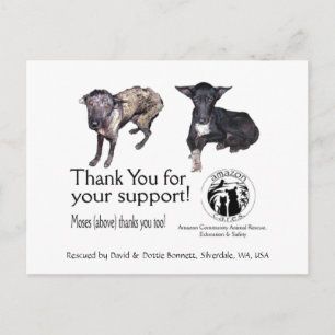 Briefkaart: Mozes, voor en na zijn redding Briefkaart