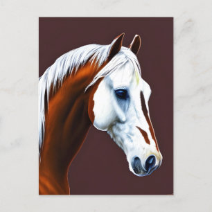 Briefkaart Mustang Horse