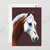 Briefkaart Mustang Horse (Voorkant / Achterkant)
