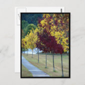 Briefkaart najaarbomen (Voorkant / Achterkant)