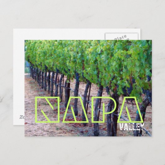 Briefkaart Napa Valley (wijn) (Voorkant / Achterkant)
