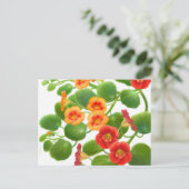Briefkaart Nasturtium Flowers (Staand voorkant)