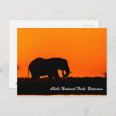 Briefkaart Nationaal Park Chobe (Voorkant / Achterkant)