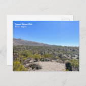 Briefkaart nationaal park Saguaro (Voorkant / Achterkant)
