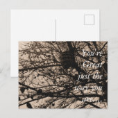  Briefkaart Natuur Fotografie (Voorkant / Achterkant)