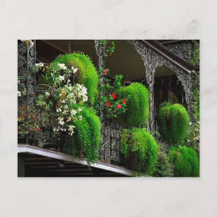 Briefkaart New Orleans - Frans Quarter USA